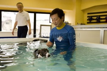 Balneotherapie für Hunde Tokyo Japan