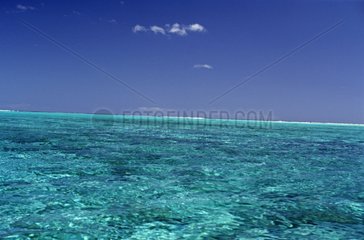 Seawater of Moorea lagoon French Polynesia