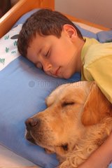 Golden retriever et enfant endormis dans un lit