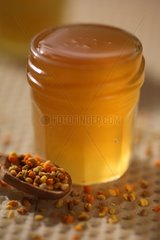 Chestnut honey and wax on part of pollen grains