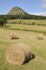 Bales of straw in summer at Mont-de-Gerbier Jonc Ardeche