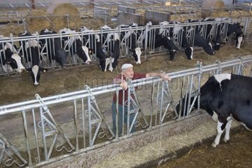 Stockbreeder und Kühe Holsteins Frankreich [at]