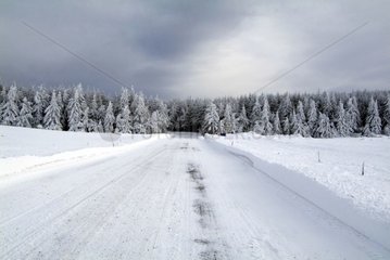 Country road covered with snow on an Auvergne plateau
