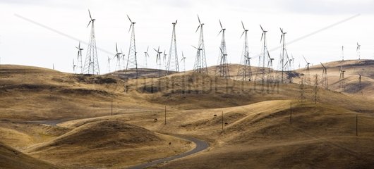 Windpark in der Region des Altamont -Passs in Kalifornien USA