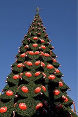 Christmas tree of the city sponsored by Coca Cola Santiago