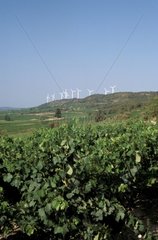 Montbrun-Les-Corbiéres und Windkraftanlagen
