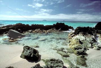 Las Bachas Beach nÃ¶rdlich der Insel Santa Cruz Galapagos