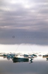 Babbage Bay Boothia Peninsula Arctique canadien