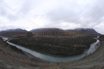 Tundra im Yukon in Kanada