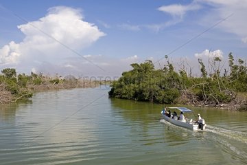 Boot segelt in Mangrove Mexiko
