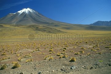 Andes Mountains in der WÃ¼ste von Atacama