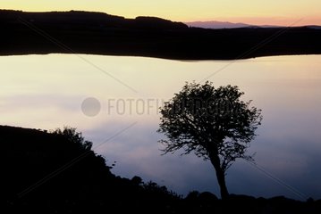 Sunset on the St Andéol lake Lozère France
