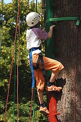 Young boy climbing to the tree on scale in tree climbing