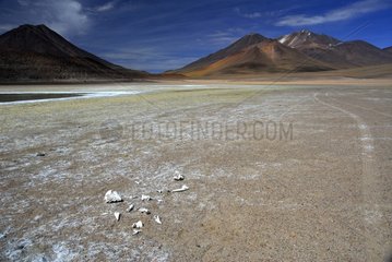 Laguna Lejia Road Paso de Guatiquina Atacama Chili