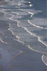Waves on a beach in Falkland Islands