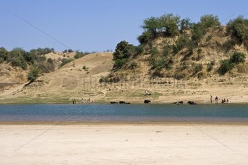 Sandbank in the Chambal river Uttar Pradesh India