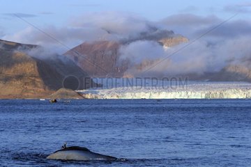 Glacier falling in a fjord Spitsbergen Arctic