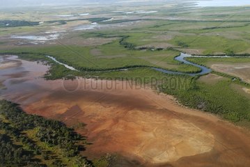Aerial view of mangrove and river Koné