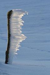 Pole under the ice in winter Vosges France