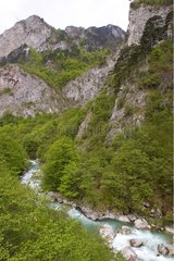 Paysage du Parc National de Sutjeska en Bosnie