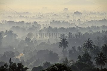 Fog at daybreak on the tropical forest Borobudur Indonesia