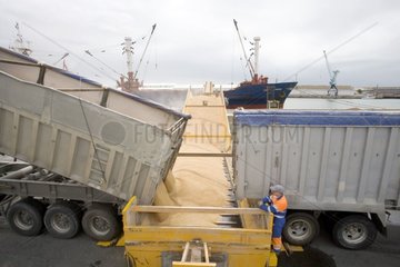 Müslischladung an einem Bootshafen von Pallice France