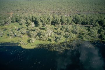 Luftaufnahme des Kakadu Australia National Park