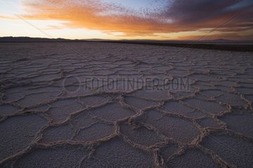 Trockener Salzsee Salar de Atacama Chile