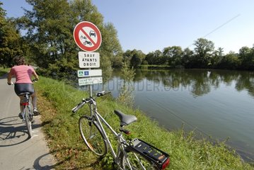 Cyclist on the Véloroute along the canal of Rhone to Rhine