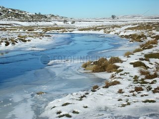 Gefrorener Fluss mit Aubrac im Winter