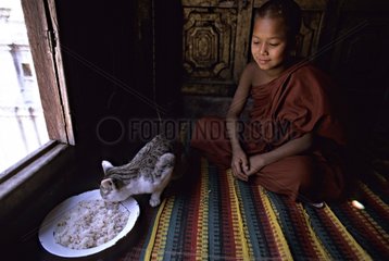 Cat eating near a young monk Burma