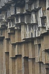 Basaltikorgane in der Nähe der Kaskade von Svartifoss