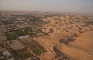 Cultures in the desert United Arab Emirates