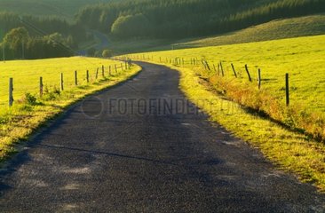 Countryside road at morning in autumn Auvergne