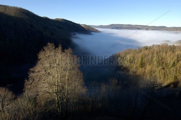 Fog rising in a valley in automn Doubs