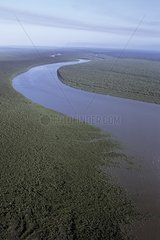 Air shot of River Mana's mouth French Guiana
