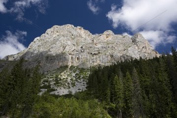 Mountain limestone in the NP Durmitor Montenegro