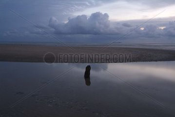 Low tide on the Nacre Coast at sunrise Calvados