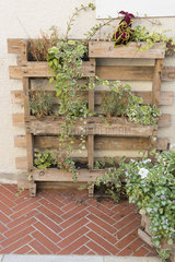 Planter on wooden pallets