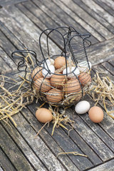 Basket filled with eggs on a garden table  spring  Pas de Calais  France