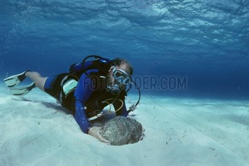 Diver finds 24kt gold piece weighing 26 pounds Bahamas