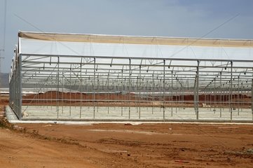 Greenhouses under construction Almeria Province Andalucia
