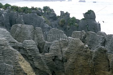 Geological formations at Dolomite Point Punakaiki Paparoa NP