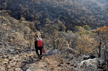 Feuerwehrmann mit einem Siegelpumpen  der ein Waldbrand bewunderte