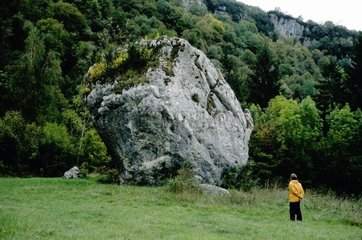 Erratic block deposited by an old glacier in the Jura France