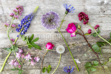 Floral assortment on a garden table  spring  Pas de Calais  France