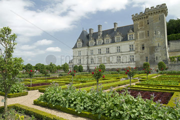 The vegetable garden. Chateau de Villandry  France