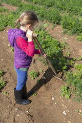 Girl using a fork spade in a kitchen garden  summer  Pas de Calais  France
