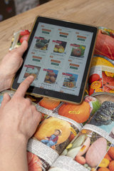 Order vegetable seed seeds using a digital tablet.