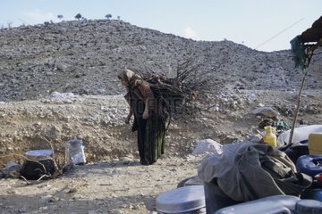 Qashqai woman carrying a bundle of firewood Iran